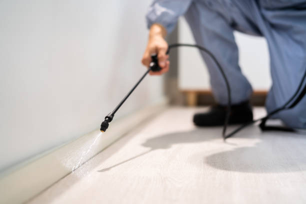 Licensed Termite Control service in Bismarck, ND - Nex Pest Control