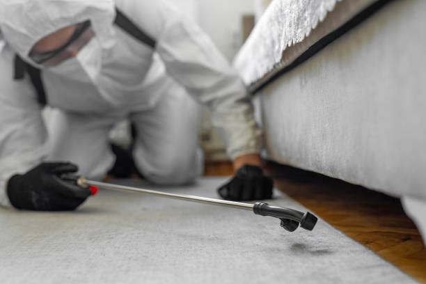 Professional Termite Control technician working in Bismarck, ND