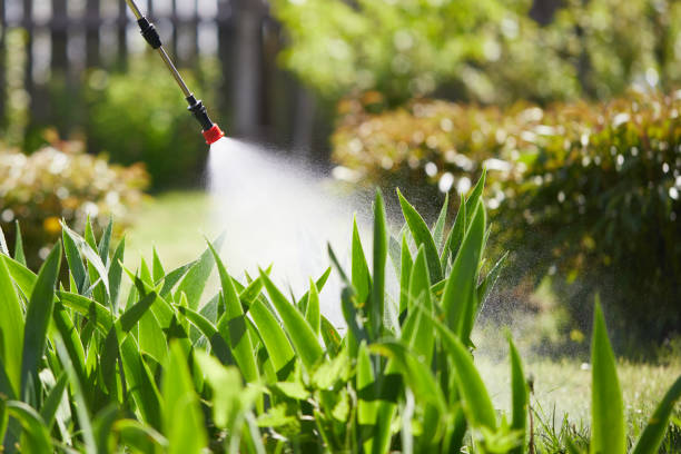 24/7 Emergency Termite Control experts in Bismarck, ND