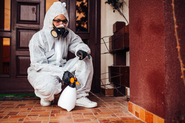 Reliable Termite Control contractor in Bismarck, ND by Nex Pest Control